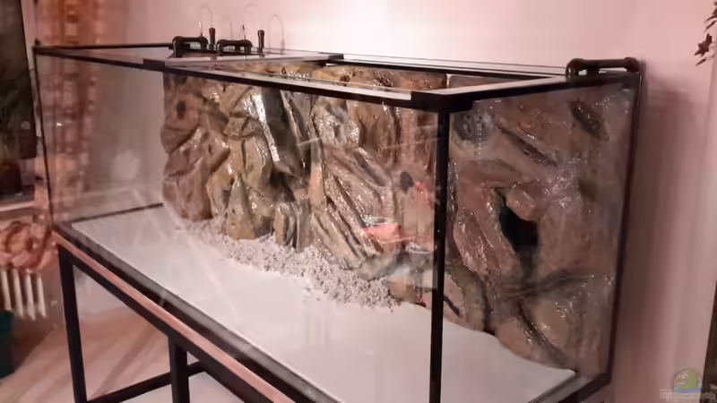 Dekoration im Aquarium Südamerika von brokhauser (26)