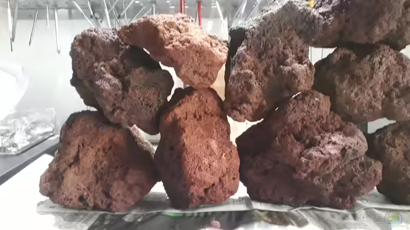 Dekoration im Aquarium Tanganjika 125 von NiRo (7)