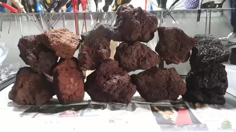 Dekoration im Aquarium Tanganjika 125 von NiRo (8)