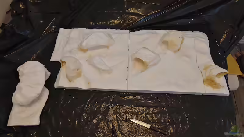 Dekoration im Aquarium Tanganjika-Becken von Shayla (19)