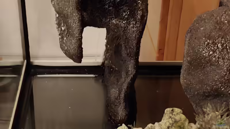 Dekoration im Aquarium Tanganjika-Becken von Shayla (23)