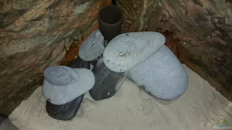 Dekoration im Aquarium Tanganjika mal anders von Moorna (3)