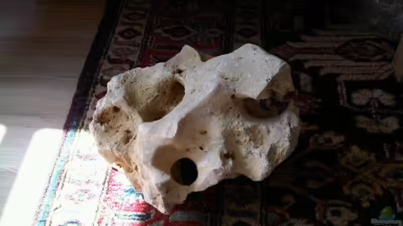 Dekoration im Aquarium Tanganjikawürfel von Bab1982 (3)