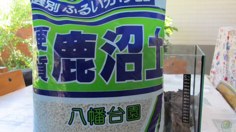 Dekoration im Aquarium tercera conca von lomarraco (54)