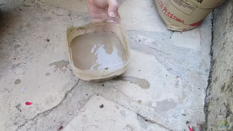 Dekoration im Aquarium tercera conca von lomarraco (67)