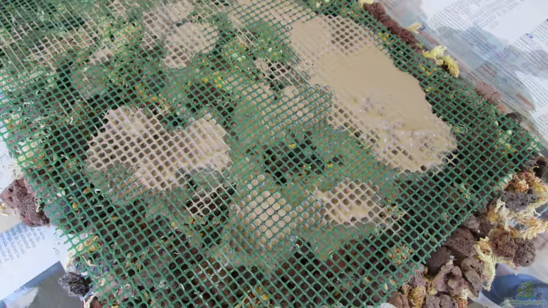 Dekoration im Aquarium tercera conca von lomarraco (68)