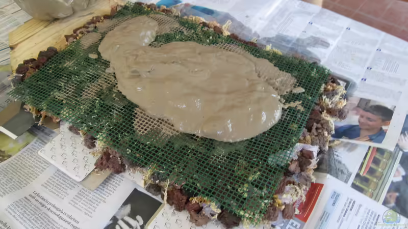 Dekoration im Aquarium tercera conca von lomarraco (69)