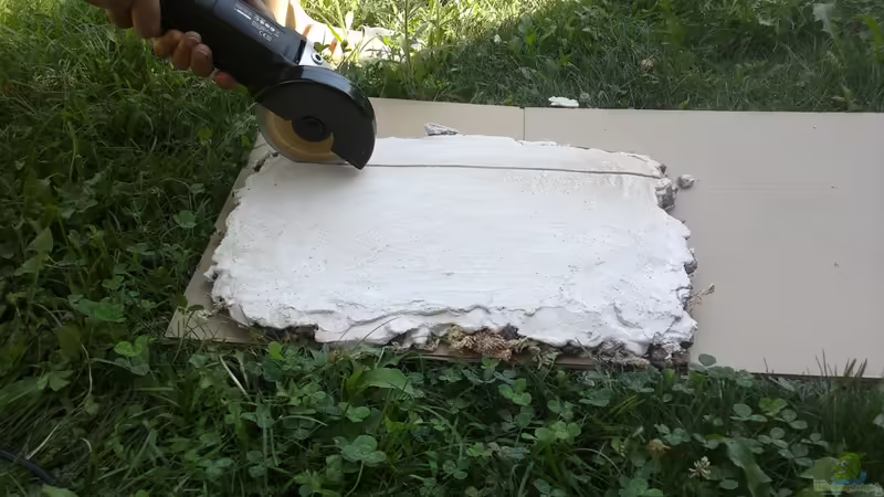 Dekoration im Aquarium tercera conca von lomarraco (73)