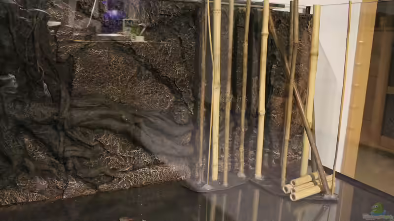 Dekoration im Aquarium Thailändischer Bachlauf von Wabi (11)