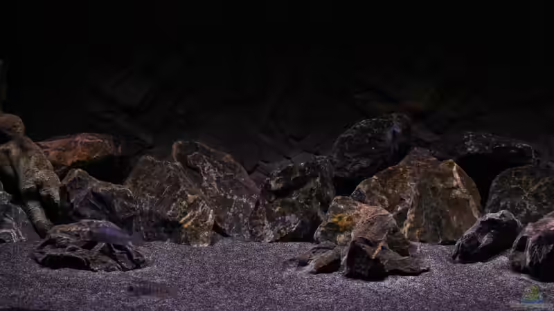 Dekoration im Aquarium The Fortress von die Perle... (10)