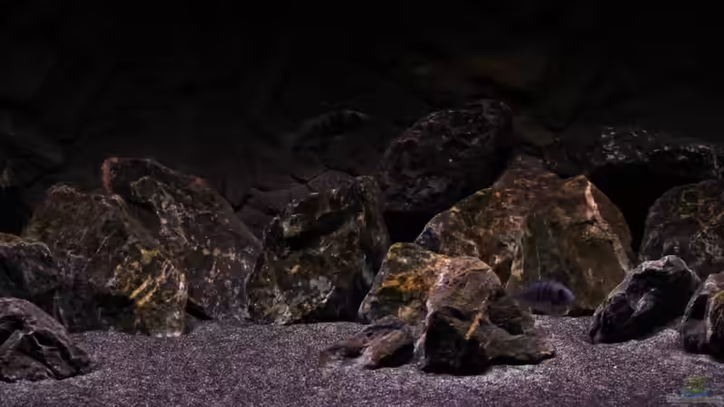 Dekoration im Aquarium The Fortress von die Perle... (11)