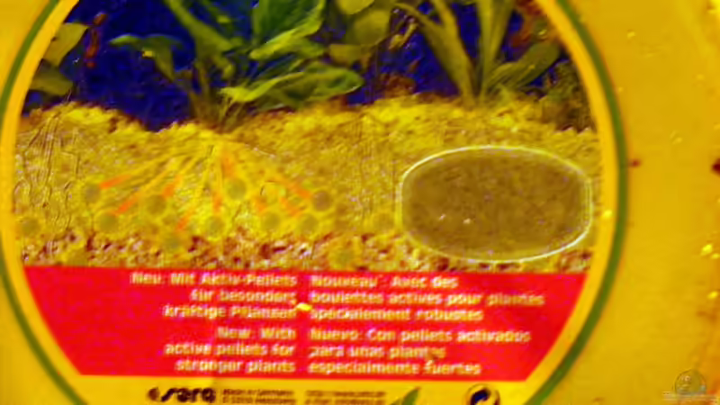 Dekoration im Aquarium The Paths of Kulander-The North of South Amerika ( von Falk (16)