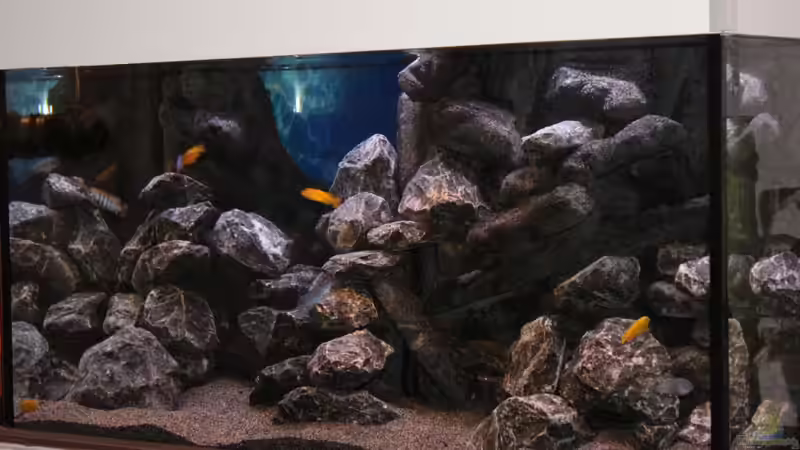 Dekoration im Aquarium The Rock von Sergio10 (3)