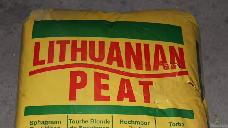 Dekoration im Aquarium Two forests von lomarraco (73)