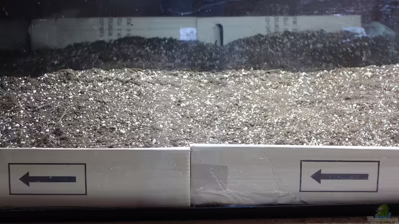 Dekoration im Aquarium Two forests von lomarraco (78)