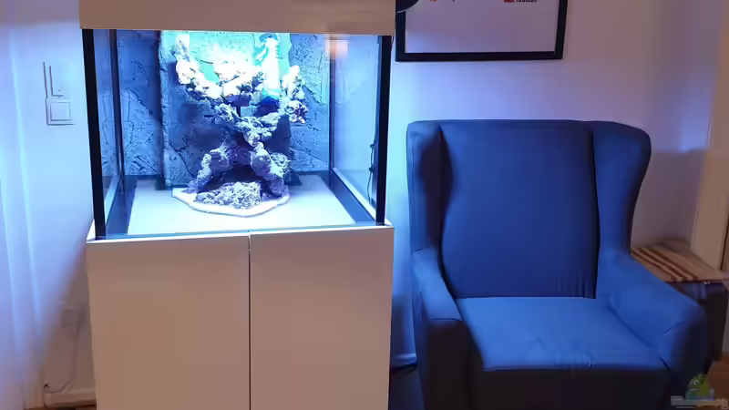 Dekoration im Aquarium Unreal • Fancy • Magic von Tim1979 (3)