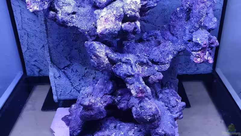 Dekoration im Aquarium Unreal • Fancy • Magic von Tim1979 (4)