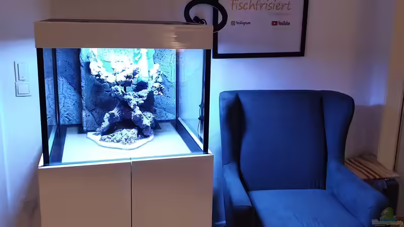 Dekoration im Aquarium Unreal • Fancy • Magic von Tim1979 (5)