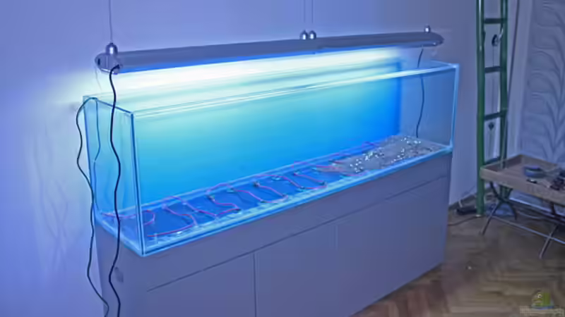 Dekoration im Aquarium Valley of Rainbows von Rick James (16)