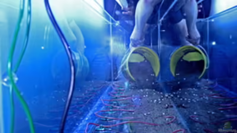 Dekoration im Aquarium Valley of Rainbows von Rick James (17)