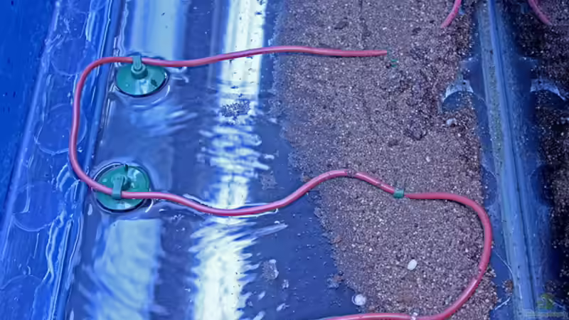 Dekoration im Aquarium Valley of Rainbows von Rick James (18)