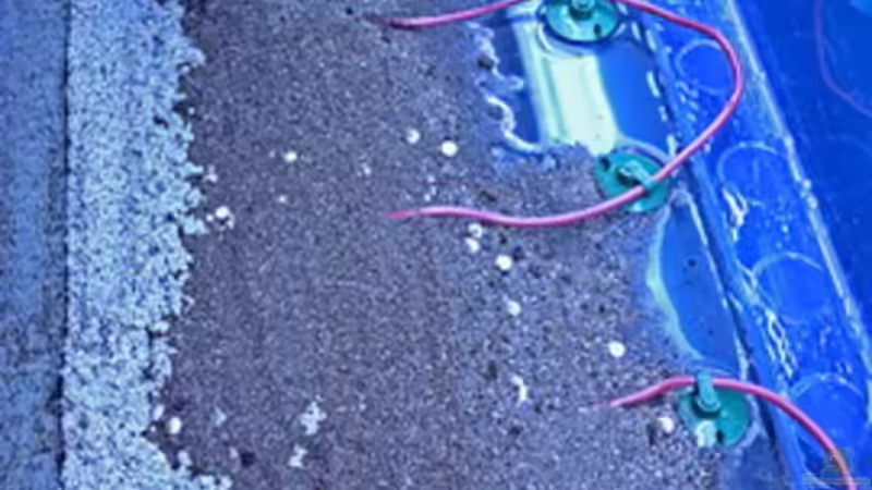 Dekoration im Aquarium Valley of Rainbows von Rick James (19)