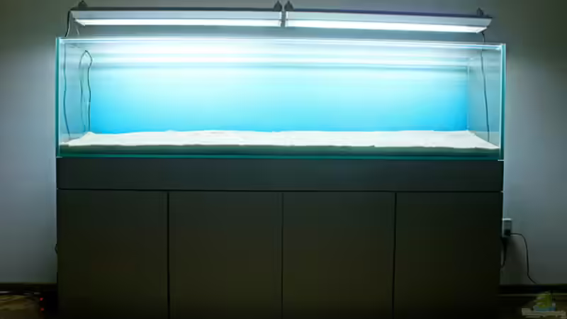 Dekoration im Aquarium Valley of Rainbows von Rick James (20)