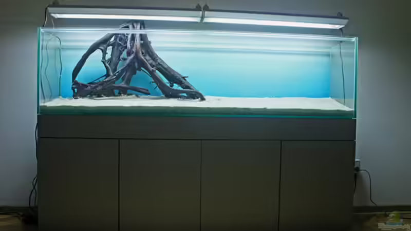 Dekoration im Aquarium Valley of Rainbows von Rick James (22)