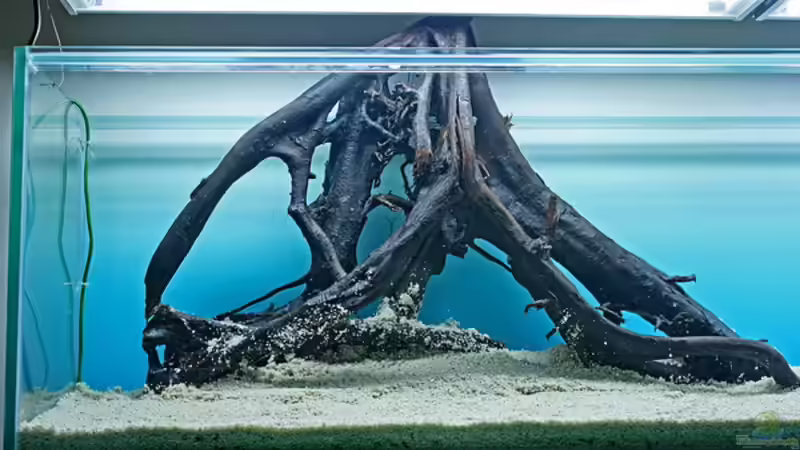 Dekoration im Aquarium Valley of Rainbows von Rick James (23)