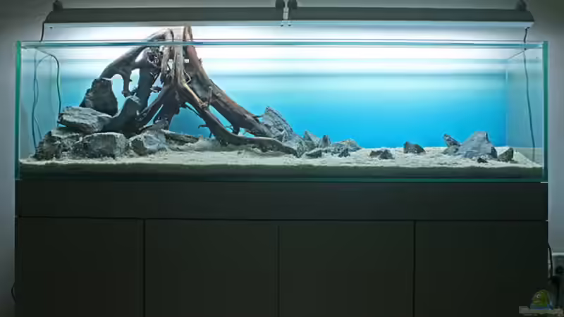 Dekoration im Aquarium Valley of Rainbows von Rick James (24)