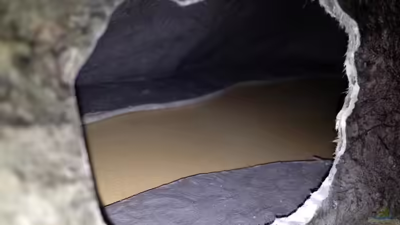 Dekoration im Aquarium Vision Malawi (Nur noch Beispiel) von Tobias Sch. (16)