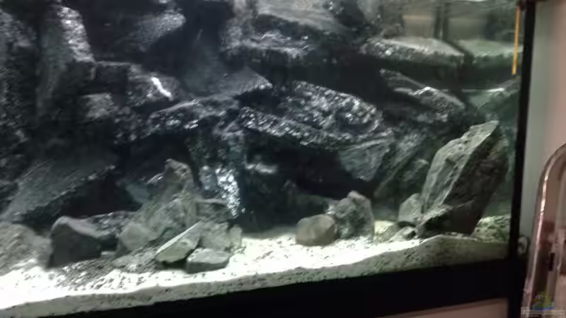 Dekoration im Aquarium Voralpen Afrika von Tobias Sanktjohanser (15)