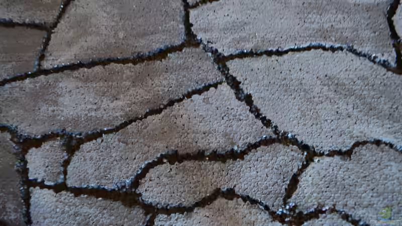 Dekoration im Aquarium Waterworld von gefjon (22)