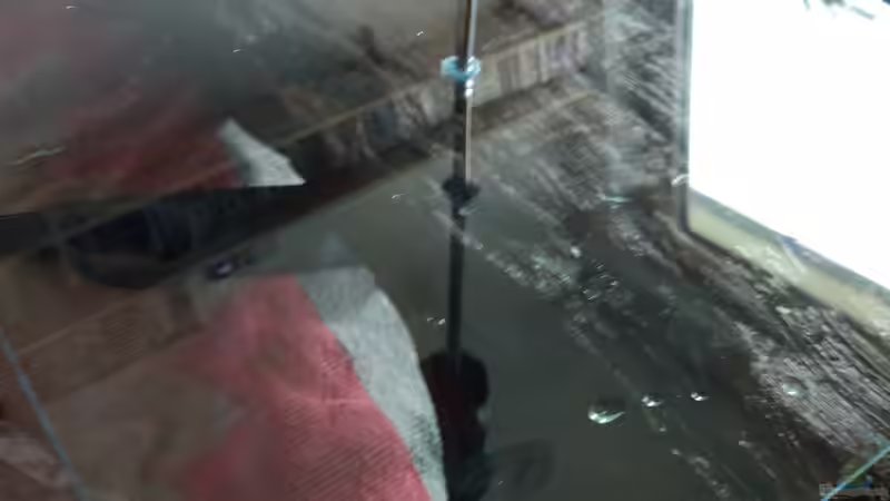 Dekoration im Aquarium West- Zentralafrika in Aachen von Tiburón (40)