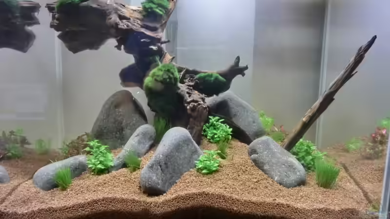 Dekoration im Aquarium Wirbellose Wohnzimmerdeko von GoreSlayer (17)