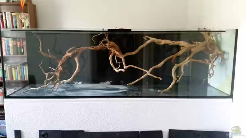 Dekoration im Aquarium Wurzelbiotop 2 (Nur noch als Beispiel) von Bernd N. (27)