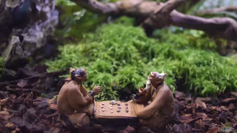 Dekoration im Aquarium ZEN von Junglist (9)