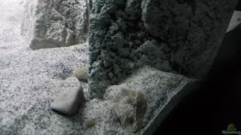 Dekoration im Aquarium ZU VERKAUFEN OPEN FREE TERRITORY von Sternenseeträumer (28)