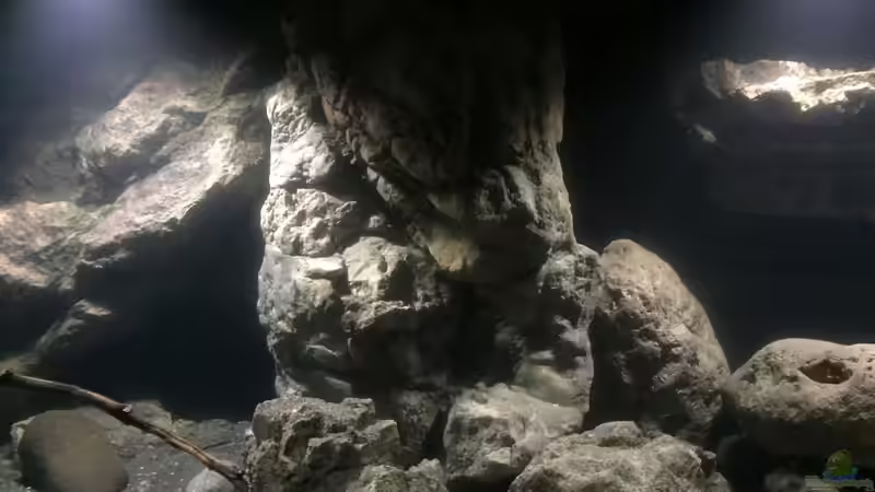 Dekoration im Castle of Malawi von Dresdn3r (14)