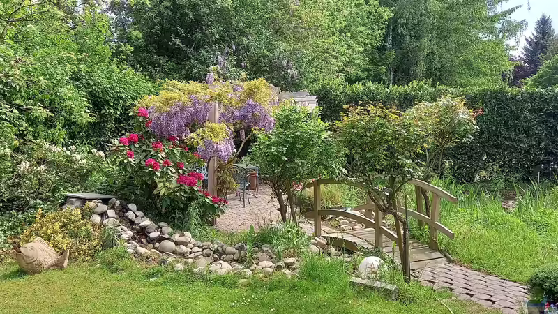 Dekoration im Teich Acero Gartenteich von Acero (7)