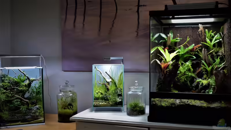 Dekoration im Terrarium Canyon von Junglist (24)