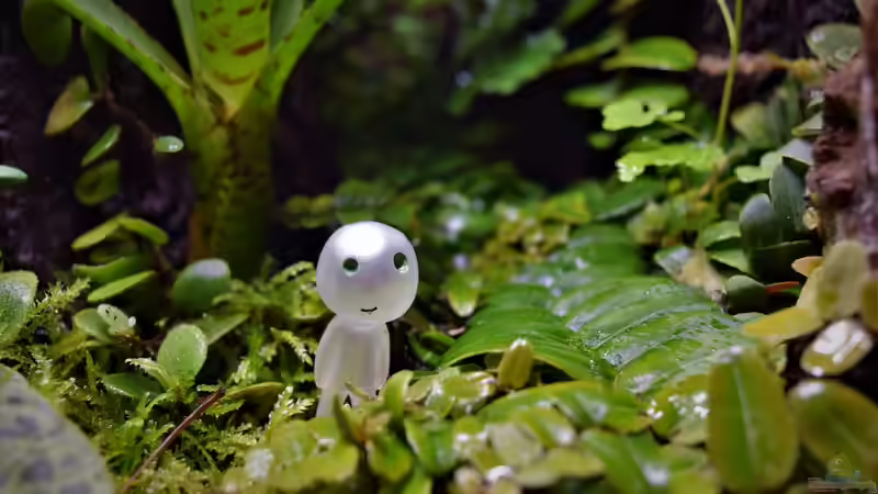 Dekoration im Terrarium Canyon von Junglist (25)