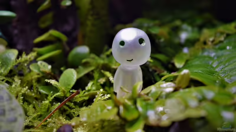 Dekoration im Terrarium Canyon von Junglist (26)