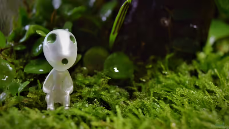 Dekoration im Terrarium Canyon von Junglist (28)