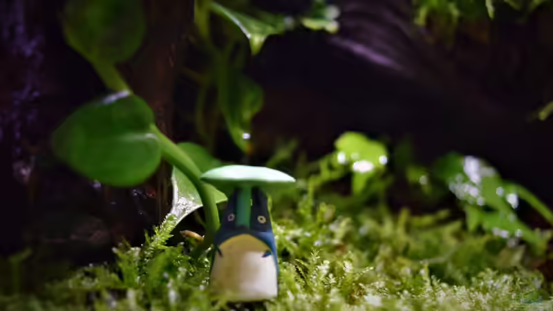 Dekoration im Terrarium Canyon von Junglist (30)