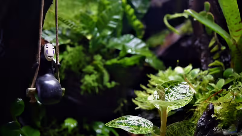 Dekoration im Terrarium Canyon von Junglist (34)