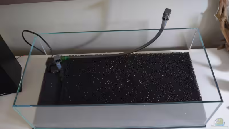 Dekoration im Terrarium Dartmoor von Junglist (10)