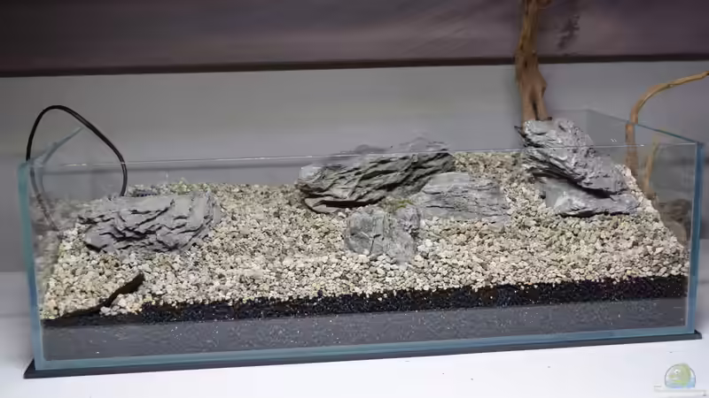 Dekoration im Terrarium Dartmoor von Junglist (11)