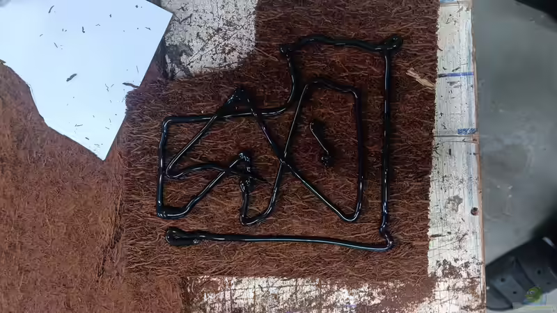 Dekoration im Terrarium Hardangervidda von Junglist (16)