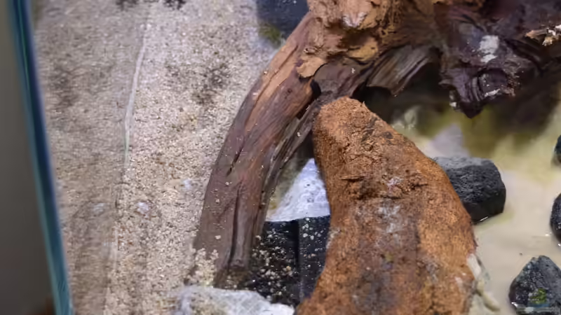 Dekoration im Terrarium Vampirhausen... Verkauft von Junglist (27)